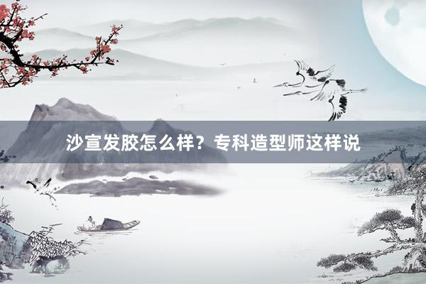 沙宣发胶怎么样？专科造型师这样说